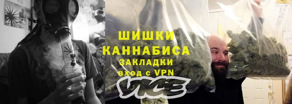 шишки Алексин