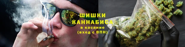 шишки Алексин