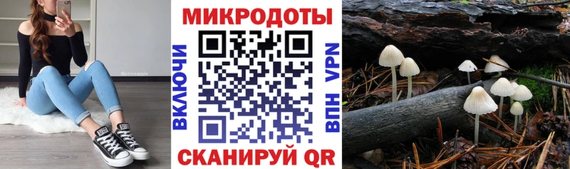 купить наркотики сайты  Байкальск  Галлюциногенные грибы Psilocybine cubensis 